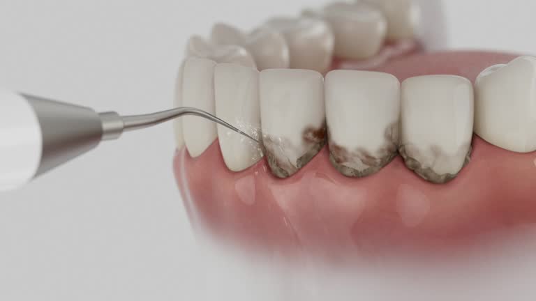 Reliable Dental contractor in Rockland, ME by Dentist Open Now